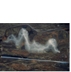 contraste 2