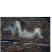contraste 2